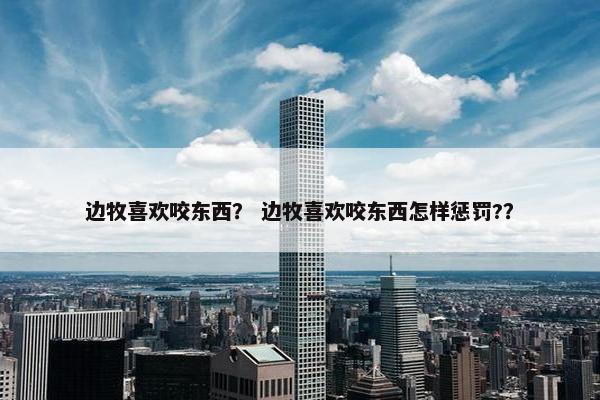 边牧喜欢咬东西？ 边牧喜欢咬东西怎样惩罚?？