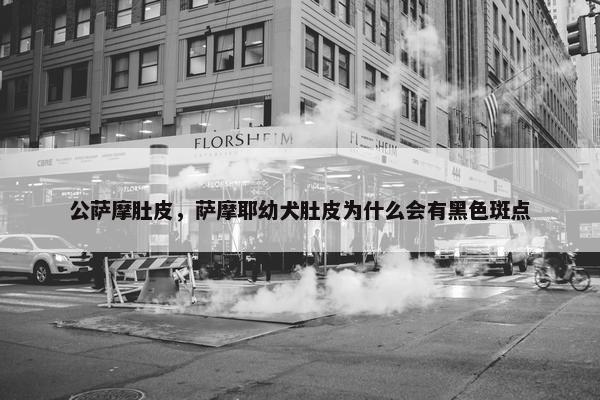 公萨摩肚皮，萨摩耶幼犬肚皮为什么会有黑色斑点