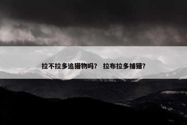 拉不拉多追猎物吗？ 拉布拉多捕猎？