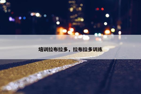 培训拉布拉多，拉布拉多训练