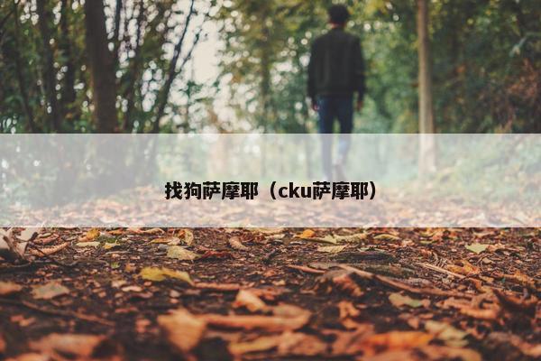 找狗萨摩耶（cku萨摩耶）