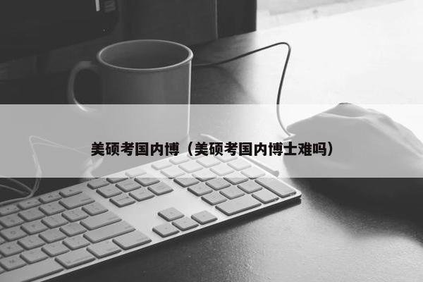 美硕考国内博（美硕考国内博士难吗）