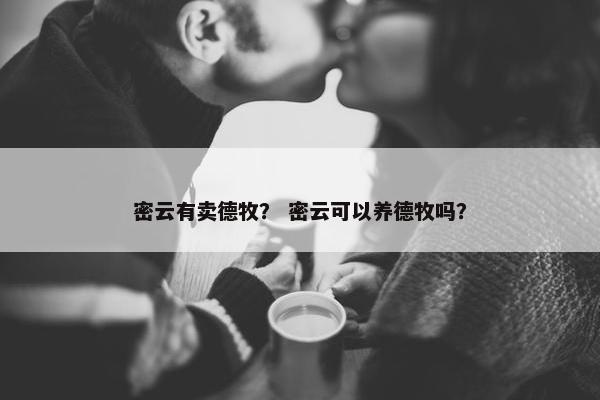 密云有卖德牧？ 密云可以养德牧吗？