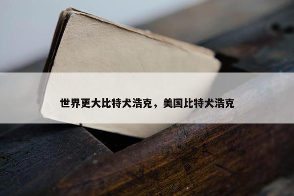 世界更大比特犬浩克，美国比特犬浩克