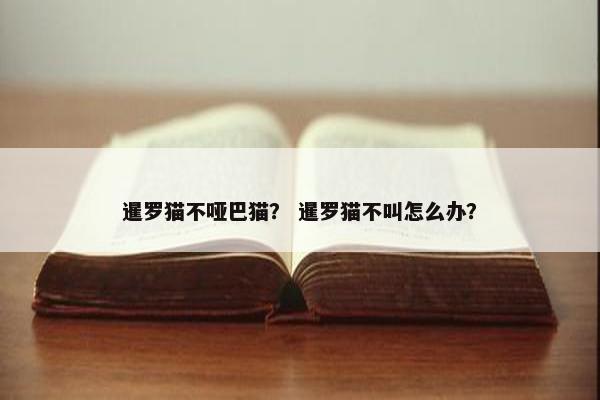 暹罗猫不哑巴猫？ 暹罗猫不叫怎么办？