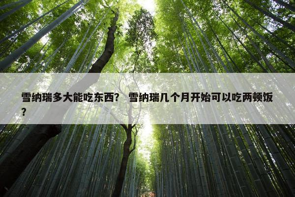 雪纳瑞多大能吃东西？ 雪纳瑞几个月开始可以吃两顿饭？