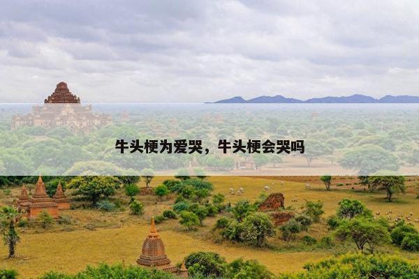 牛头梗为爱哭，牛头梗会哭吗