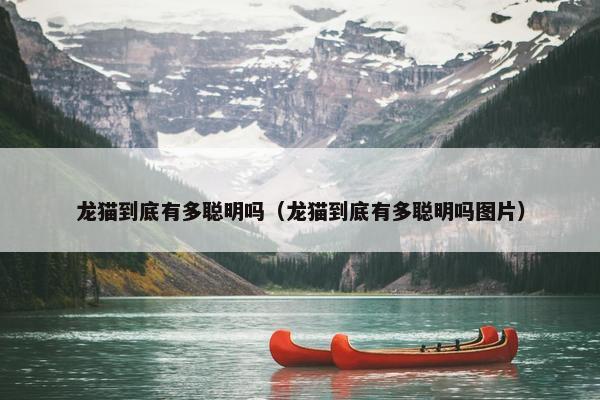 龙猫到底有多聪明吗（龙猫到底有多聪明吗图片）