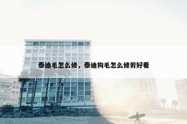 泰迪毛怎么修，泰迪狗毛怎么修剪好看