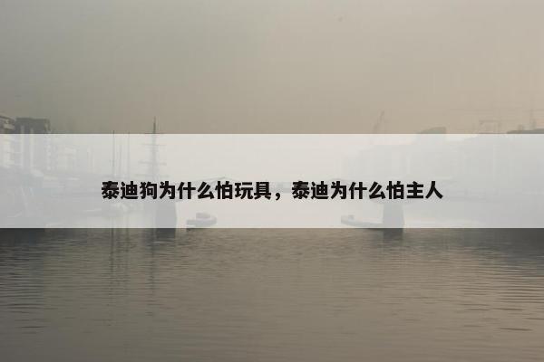 泰迪狗为什么怕玩具，泰迪为什么怕主人