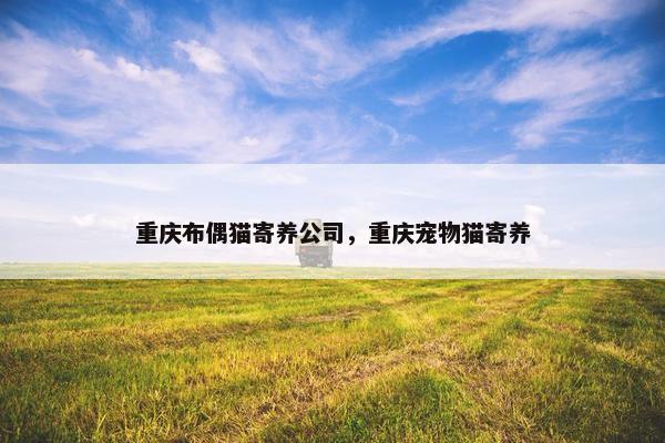 重庆布偶猫寄养公司，重庆宠物猫寄养