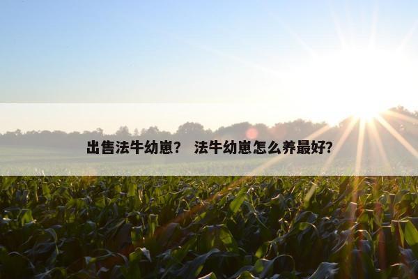 出售法牛幼崽？ 法牛幼崽怎么养最好？