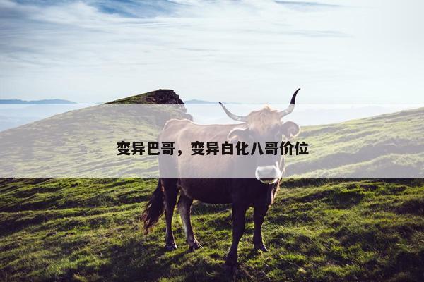 变异巴哥，变异白化八哥价位