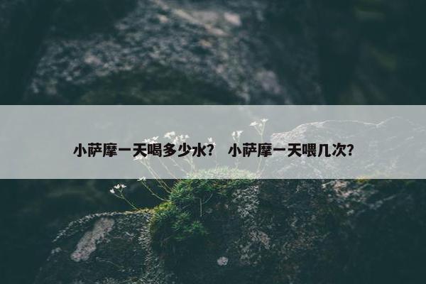 小萨摩一天喝多少水？ 小萨摩一天喂几次？