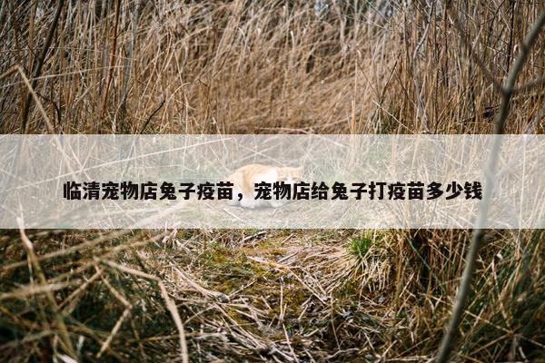 临清宠物店兔子疫苗，宠物店给兔子打疫苗多少钱