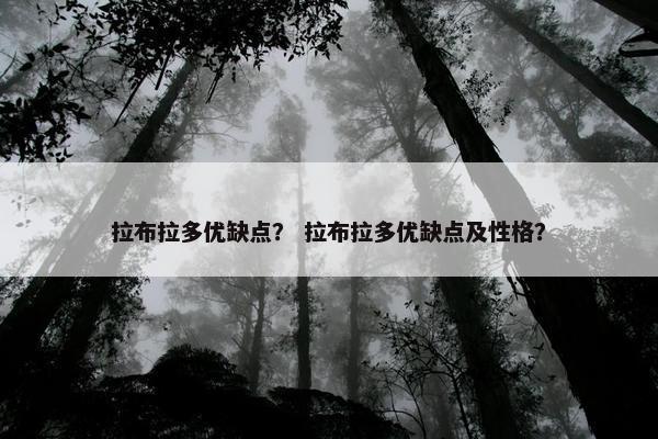 拉布拉多优缺点？ 拉布拉多优缺点及性格？