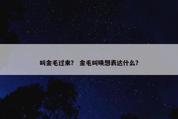 叫金毛过来？ 金毛叫唤想表达什么？