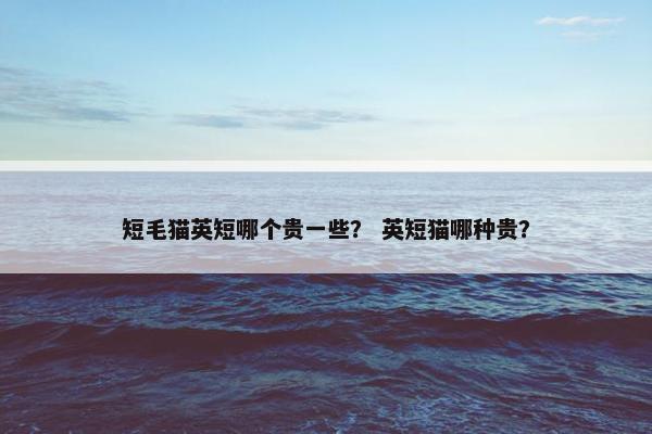短毛猫英短哪个贵一些？ 英短猫哪种贵？