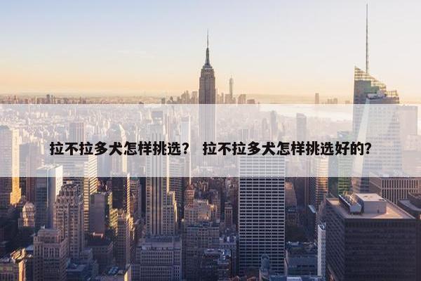 拉不拉多犬怎样挑选？ 拉不拉多犬怎样挑选好的？