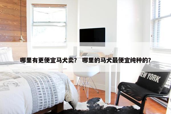 哪里有更便宜马犬卖？ 哪里的马犬最便宜纯种的？