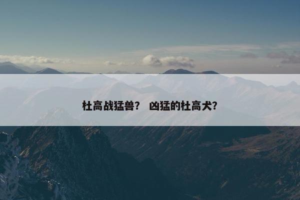杜高战猛兽？ 凶猛的杜高犬？