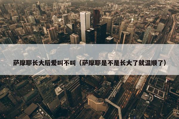 萨摩耶长大后爱叫不叫（萨摩耶是不是长大了就温顺了）