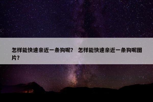 怎样能快速亲近一条狗呢？ 怎样能快速亲近一条狗呢图片？