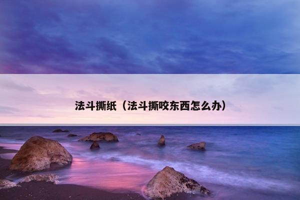 法斗撕纸（法斗撕咬东西怎么办）
