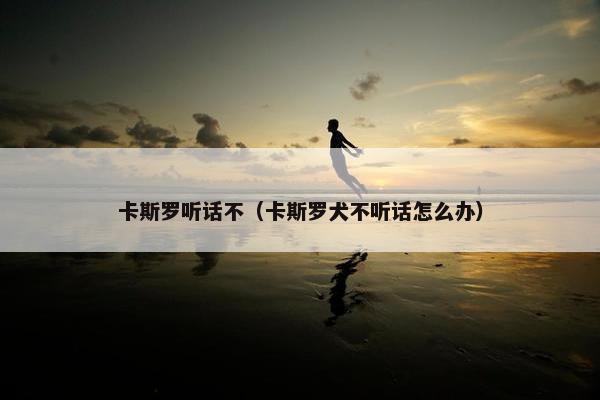 卡斯罗听话不（卡斯罗犬不听话怎么办）