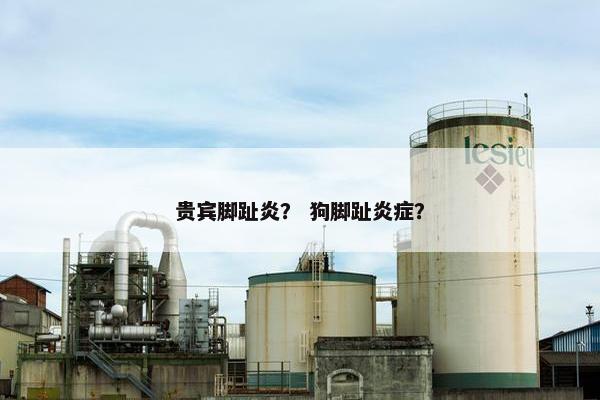 贵宾脚趾炎？ 狗脚趾炎症？