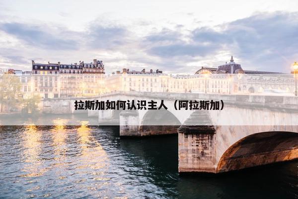 拉斯加如何认识主人（阿拉斯加）