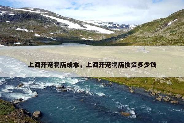 上海开宠物店成本，上海开宠物店投资多少钱