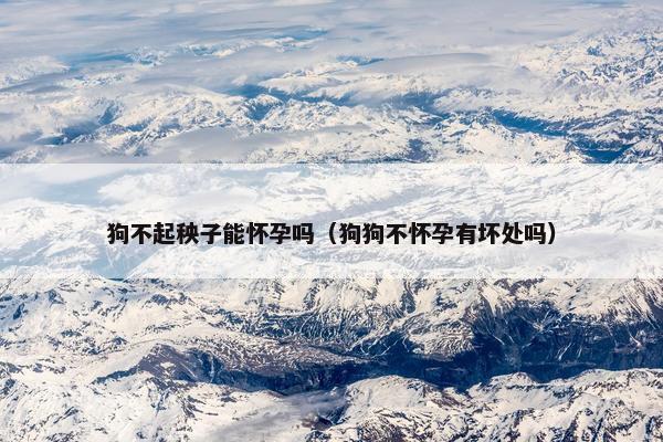 狗不起秧子能怀孕吗（狗狗不怀孕有坏处吗）