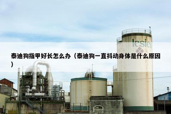 泰迪狗指甲好长怎么办（泰迪狗一直抖动身体是什么原因）