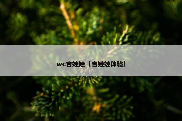 wc吉娃娃（吉娃娃体验）