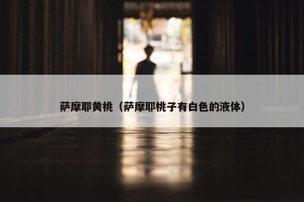 萨摩耶黄桃（萨摩耶桃子有白色的液体）