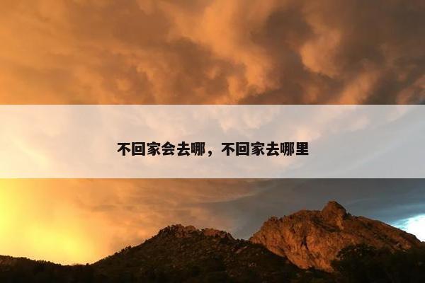 不回家会去哪，不回家去哪里