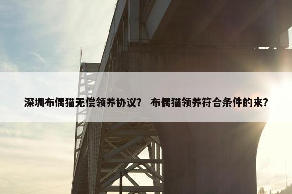 深圳布偶猫无偿领养协议？ 布偶猫领养符合条件的来？