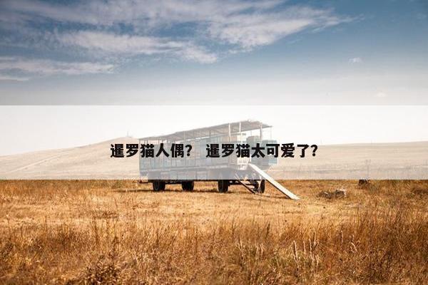 暹罗猫人偶？ 暹罗猫太可爱了？