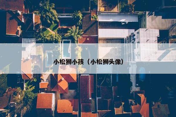 小松狮小孩（小松狮头像）