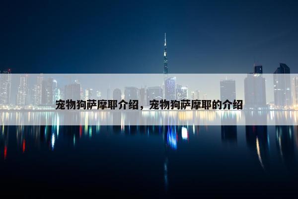 宠物狗萨摩耶介绍，宠物狗萨摩耶的介绍