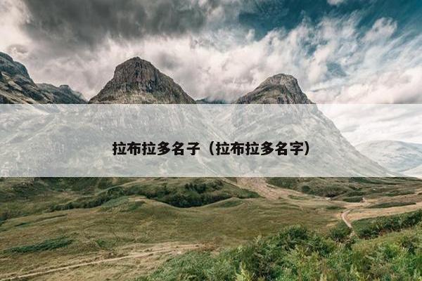 拉布拉多名子（拉布拉多名字）