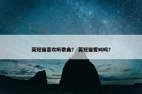 英短猫喜欢听歌曲？ 英短猫爱叫吗？