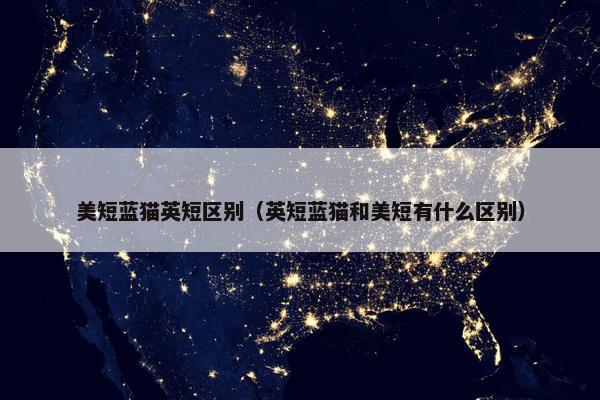 美短蓝猫英短区别（英短蓝猫和美短有什么区别）