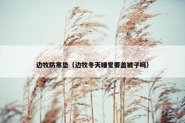 边牧防寒垫（边牧冬天睡觉要盖被子吗）