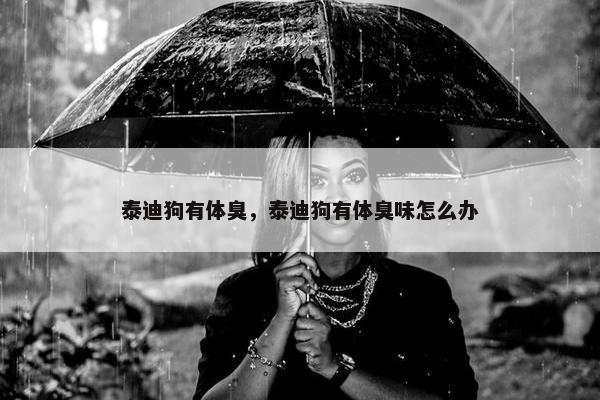 泰迪狗有体臭，泰迪狗有体臭味怎么办