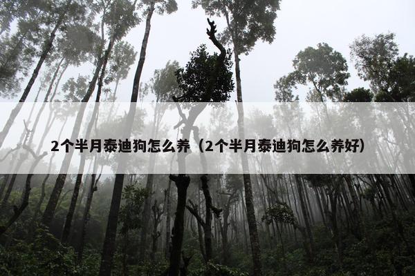 2个半月泰迪狗怎么养（2个半月泰迪狗怎么养好）