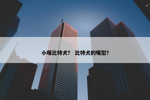 小嘴比特犬？ 比特犬的嘴型？