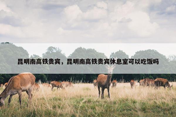昆明南高铁贵宾，昆明南高铁贵宾休息室可以吃饭吗