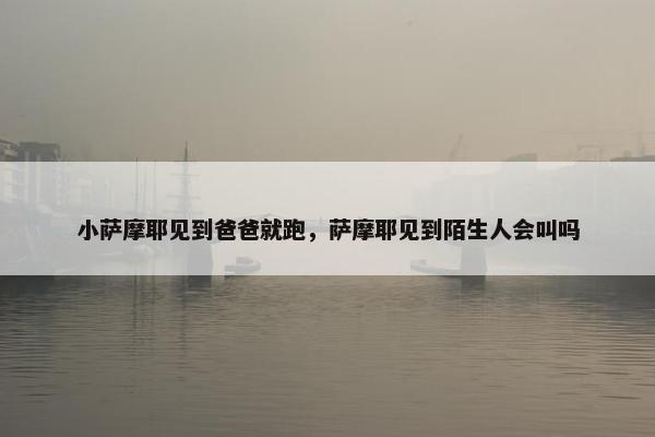 小萨摩耶见到爸爸就跑，萨摩耶见到陌生人会叫吗